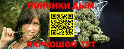 сатива Кингисепп