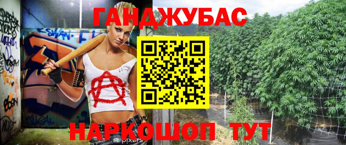 Шишки марихуана индика Россия